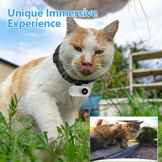 ehomful HD 1080P Cat Camera Collar with Video Record Wireless Mini Sport cam,Small Action Cameras,Body Camera for Pet Supplies/Stuff,Outdoor/Inoor Birthday Gift No WiFi