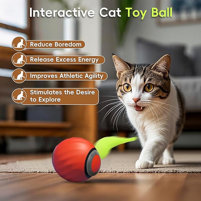 Interactive Cat Toy 2.0, Automatic Moving Cat Toys for Indoor Cats, Electric Rolling Pet Ball with Tail, Two Speed Adjustment, Pet Game Toy (Orange)